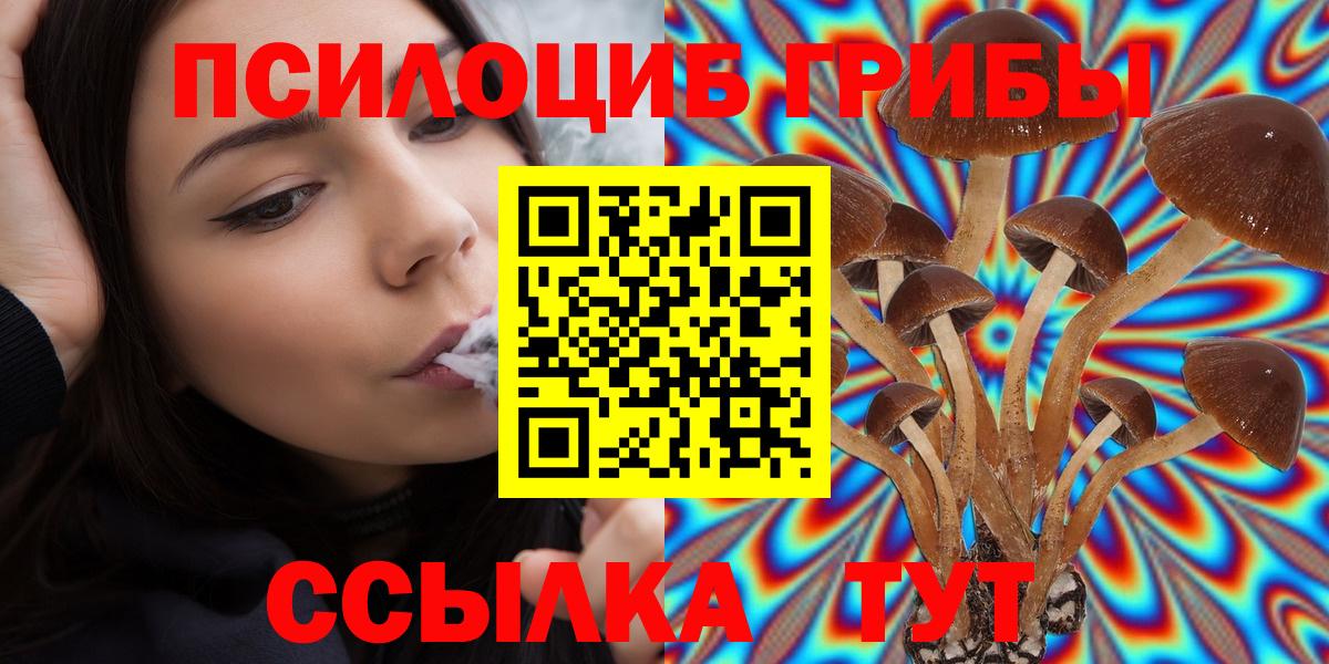 Псилоцибиновые грибы MAGIC MUSHROOMS  Бердск  Галлюциногенные грибы GOLDEN TEACHER 