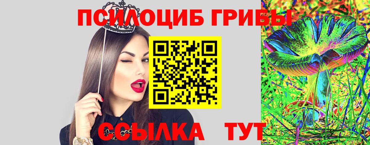 Псилоцибиновые грибы Cubensis Бердск