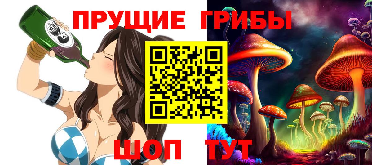 где найти наркотики  Вход с VPN  Бердск  Галлюциногенные грибы Cubensis 