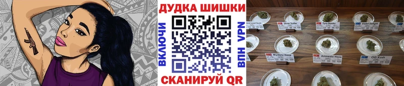 где купить наркоту  Бердск  Канабис Ganja 
