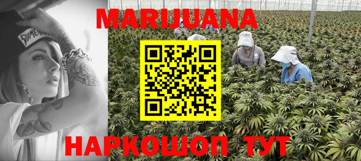 Конопля White Widow  Каннабис ГИДРОПОН  Марихуана планчик  Бердск 